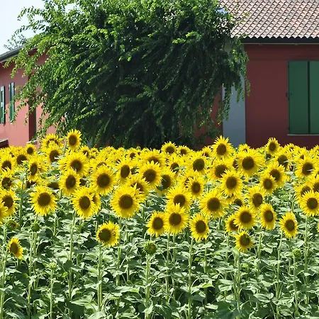 La Cascina