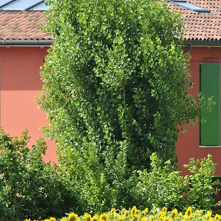 La Cascina Bed and Breakfast *