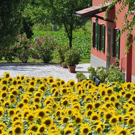 La Cascina Bed and Breakfast *