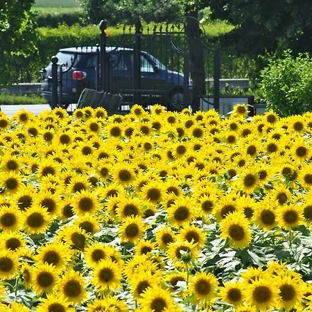 Bed and Breakfast La Cascina *