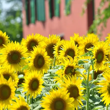 Bed and Breakfast La Cascina *