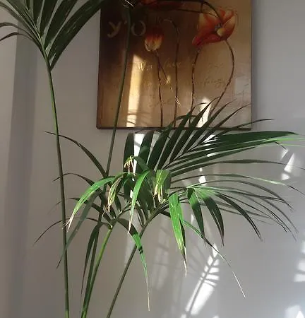 Bed and Breakfast La Cascina