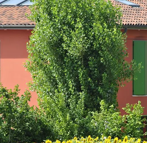 La Cascina Panzió *