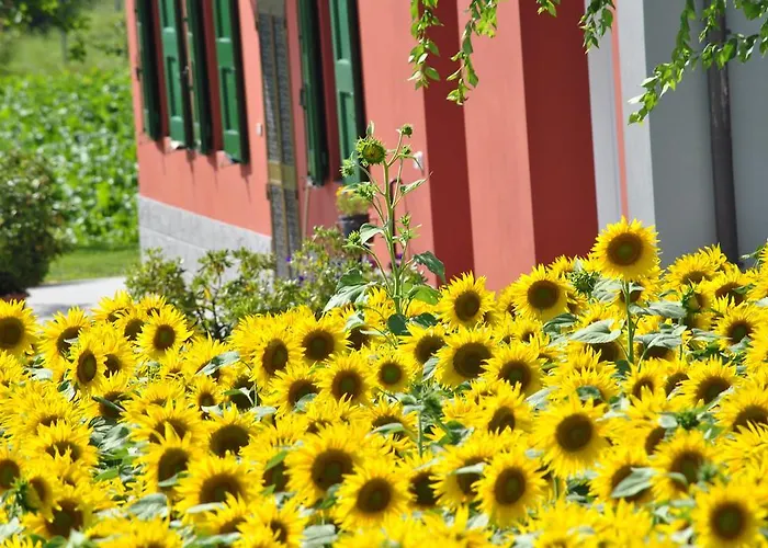 La Cascina 칼더라라디레노