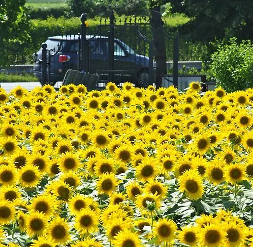 Panzió La Cascina *
